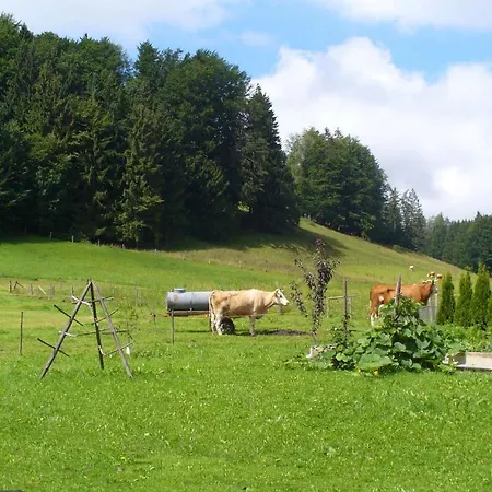 Appartement Wanderparadies